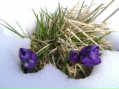 Едіта Яцюк фотография #28 (источник - https://vk.com/id12775962)