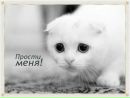 Ярчик Лебідь фотография #3 (источник - https://vk.com/id222135794)
