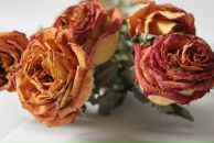 Дмитрий Дмитриченко фотография #41 (источник - https://vk.com/id5134906)