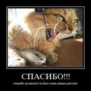 Юліан Коновал фотография #9 (источник - https://vk.com/id8288939)