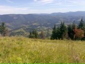 Валік Пижик фотография #50 (источник - https://vk.com/id72861192)