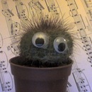 Фотография Шувалова Сержа