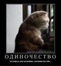 Богдан Янічко фотография #23 (источник - https://vk.com/id26134723)