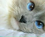 Фотография Большаковой Елены