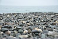 Фотография Чакровой Майи