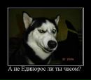 Фотография Dmitriy Shipak