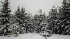 Сергей Новков фотография #45 (источник - https://vk.com/id390969)