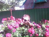 Діма Бабак фотография #39 (источник - https://vk.com/id132657093)