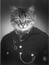 Роман Котик фотография #21 (источник - https://vk.com/id12719611)