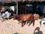 Фотография Окунцева Владимира