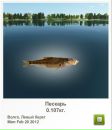 Ростік Гедз фотография #36 (источник - https://vk.com/id102630899)