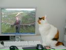 Борис Маринеску фотография #38 (источник - https://vk.com/id142781387)