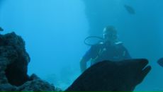 Фотография Шевлякова Ильи