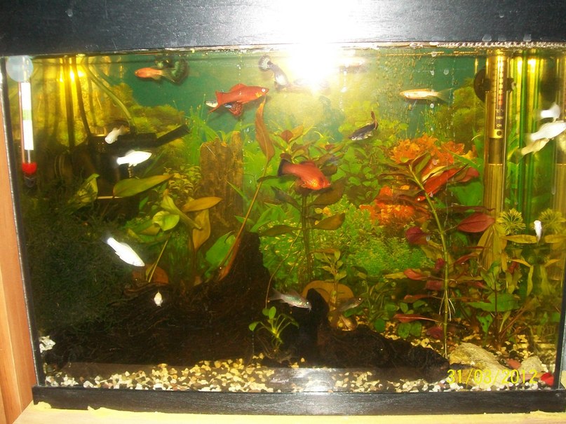 Igor Demchenko фотография #33