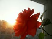 Фотография Ураковой Анны