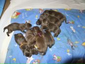 Фотография Соловьевой Екатерины