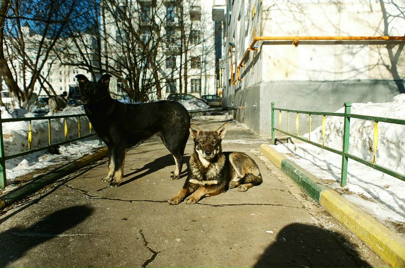 Дмитрий Ткачев фотография #39