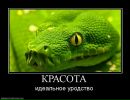 Олександр Лісник фотография #15 (источник - https://vk.com/id91636096)