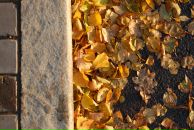 Фотография Пикаловой Жюли