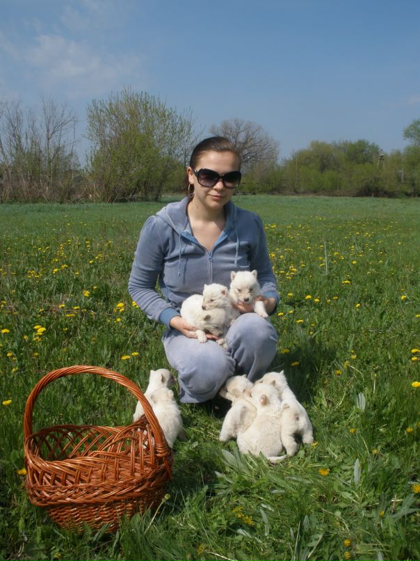 Anna Anna фотография #46