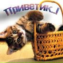 Микола Ільків фотография #36 (источник - https://vk.com/id133436355)