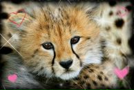 Фотография Ясников Денис