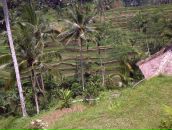 Korcan Yılmaz фотография #37 (источник - https://vk.com/id83147080)