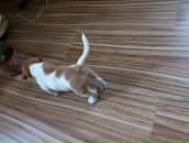 Диман Бабаскин фотография #46 (источник - https://vk.com/id8828617)