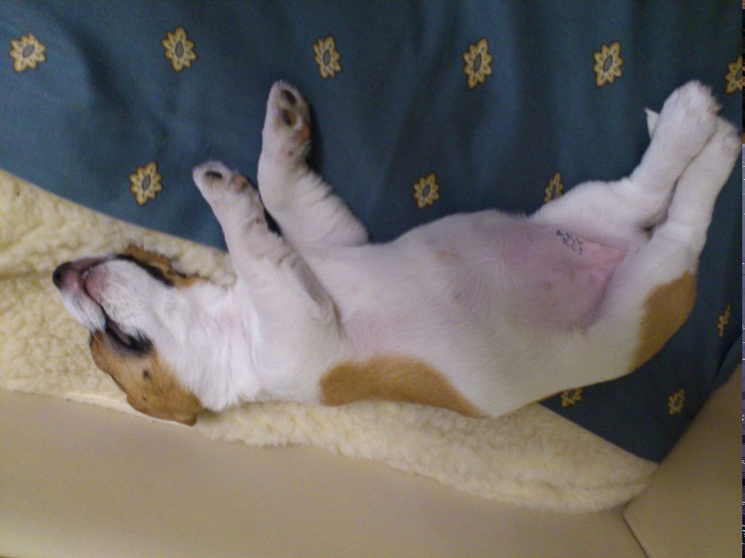 Диман Бабаскин фотография #33