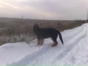 Кейт =) фотография #8 (источник - https://vk.com/id120276117)