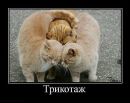Ірина Хименко (гончар) фотография #2 (источник - https://vk.com/id139521358)