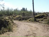 Иван Амельченко фотография #42 (источник - https://vk.com/id684343)