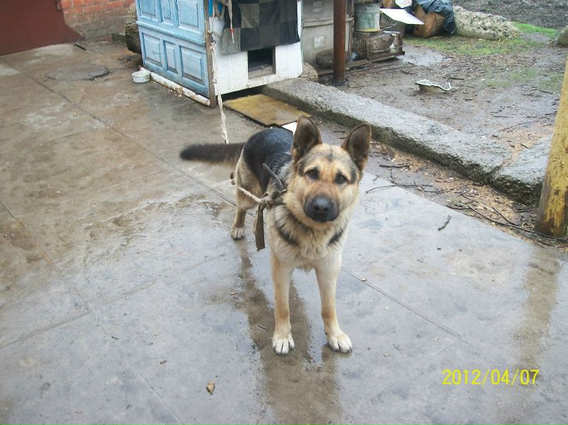 Сергей Ломакин фотография #16