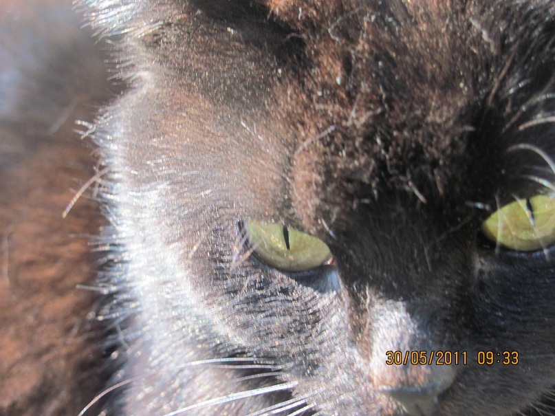 Ольга С фотография #38