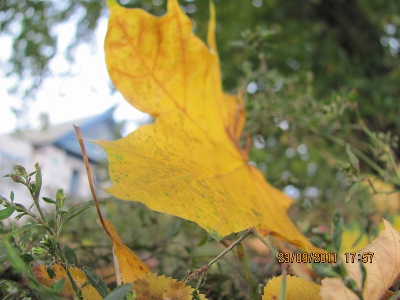 Ольга С фотография #14