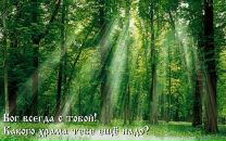 Наталія Гнатківська фотография #39 (источник - https://vk.com/id90548352)