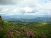 Αнна Κалашникова фотография #15 (источник - https://vk.com/id84410140)