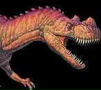 Фотография Мацкевича Сергея