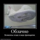Александр Головань фотография #5 (источник - https://vk.com/id55811247)