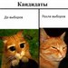 Настя Колотуша фотография #25 (источник - https://vk.com/id170976886)