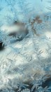 Ксенія Ярмак фотография #11 (источник - https://vk.com/id153695659)