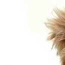 Ліда Жук фотография #43 (источник - https://vk.com/id149301373)