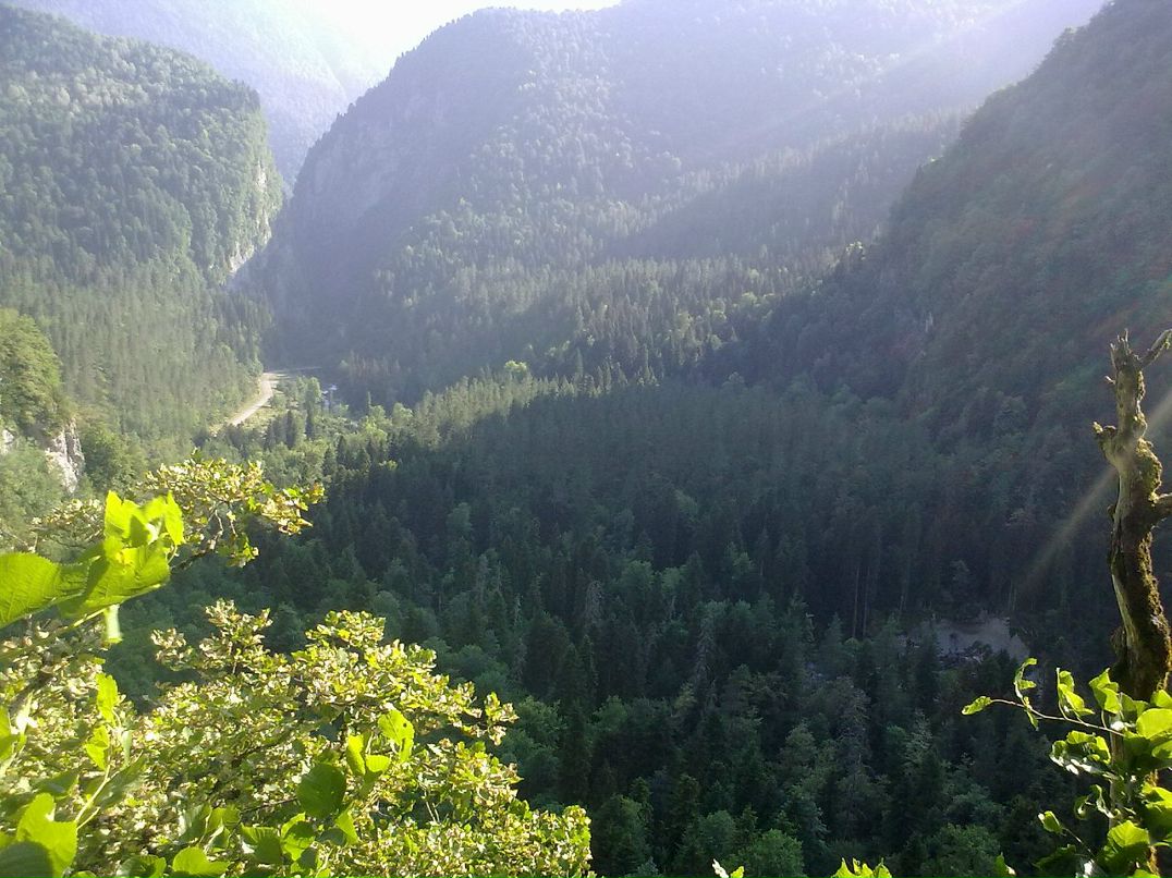 Igor Igor фотография #23