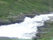 Діма Думитрович фотография #13 (источник - https://vk.com/id65694420)