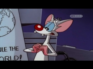 Пинки и Брейн (3 Сезон 37 Серия)