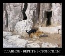 Игорь Королев фотография #35 (источник - https://vk.com/id44554)