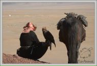 Фотография Скородубцева Александра