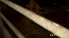 Василина Більо фотография #14 (источник - https://vk.com/id60238801)