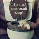 Саня Панченко фотография #17 (источник - https://vk.com/id17438938)