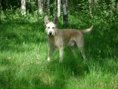 Фотография Кондаковой Ольги